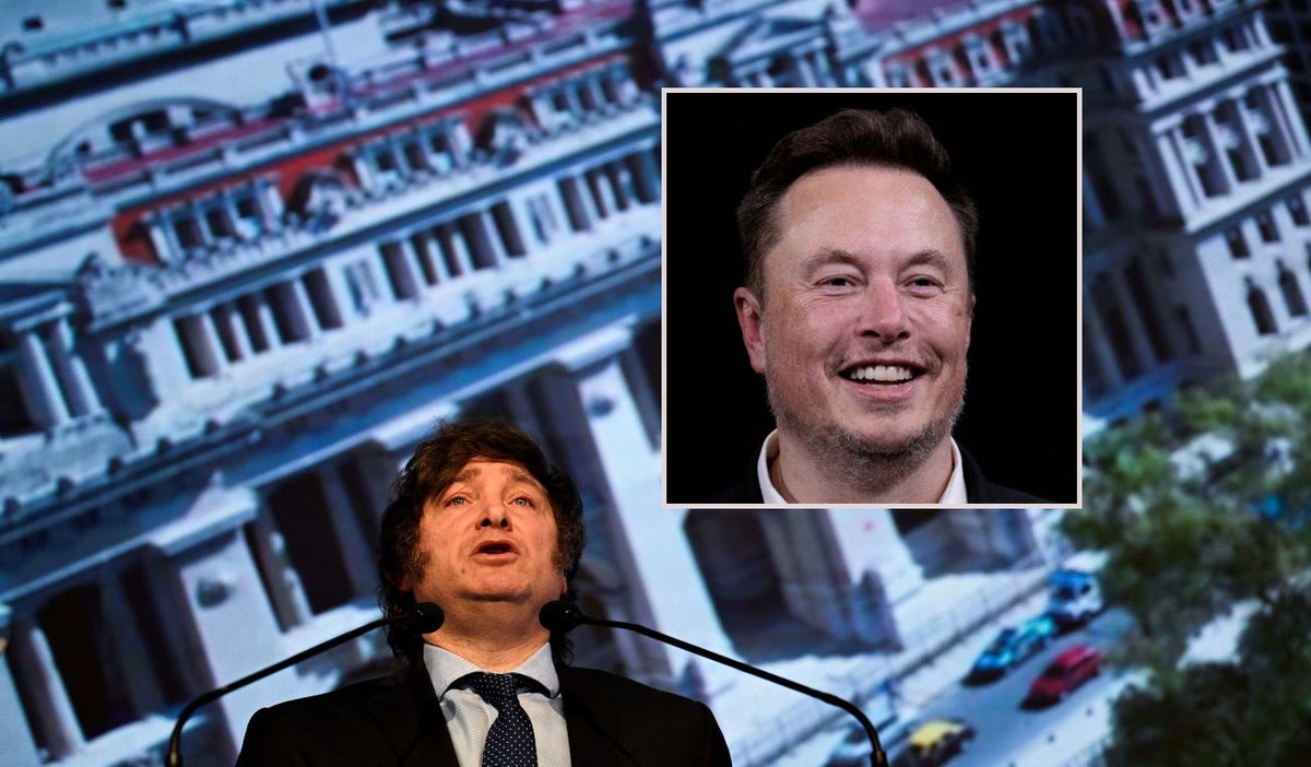 Javier Milei y Elon Musk