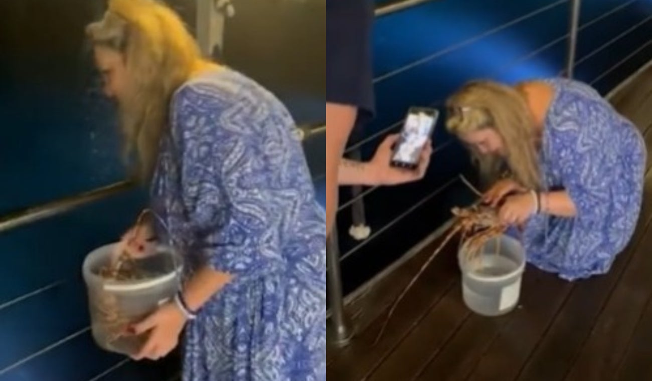 Mujer devuelve una langosta al mar