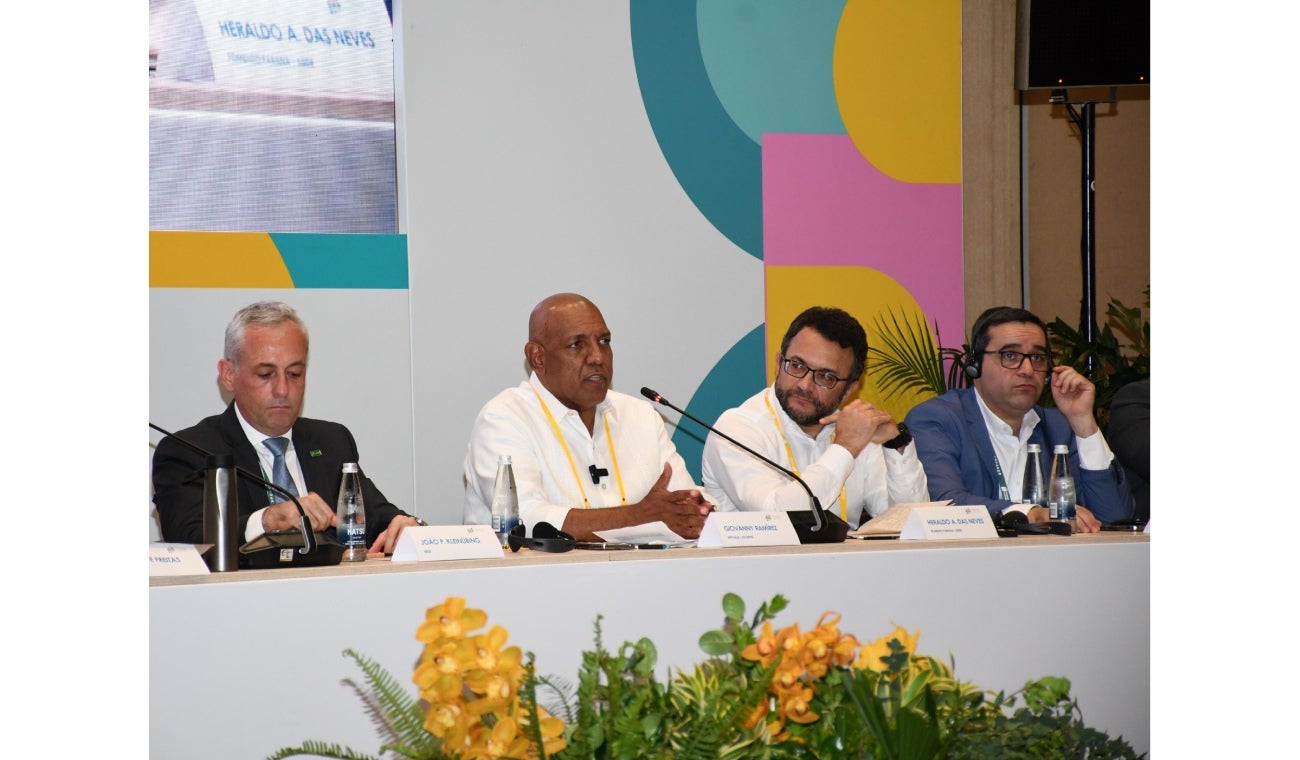 Institutos Financieros de Fomento y Desarrollo Territorial