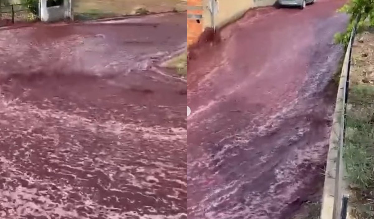 Río de vino en Portugal