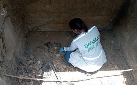 Una ardilla fue encontrada con quemaduras de segundo grado