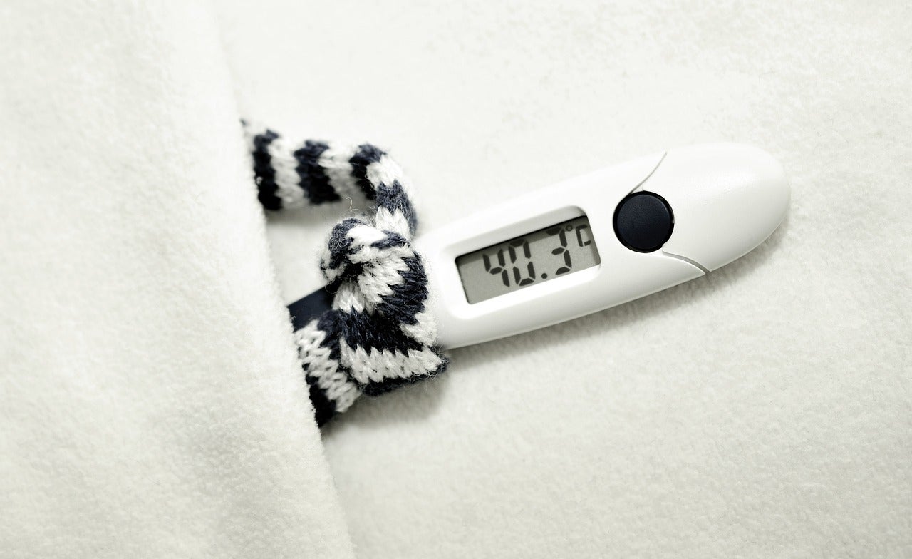 Fiebre