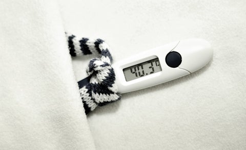 Fiebre