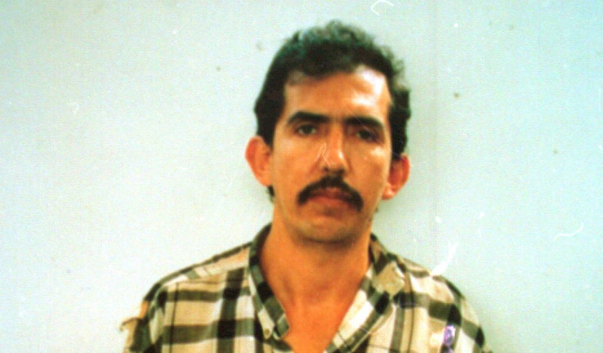 Luis Alfredo Garavito