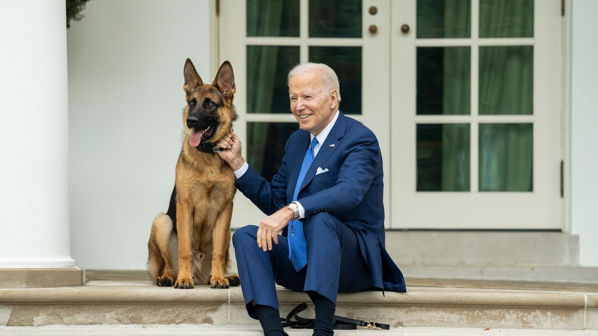 Perro de Joe Biden