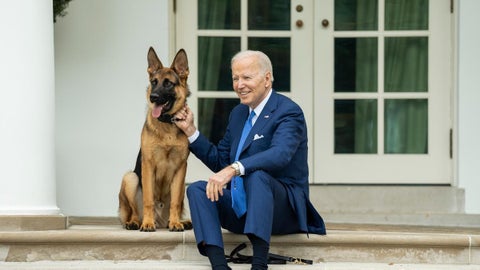 Perro de Joe Biden
