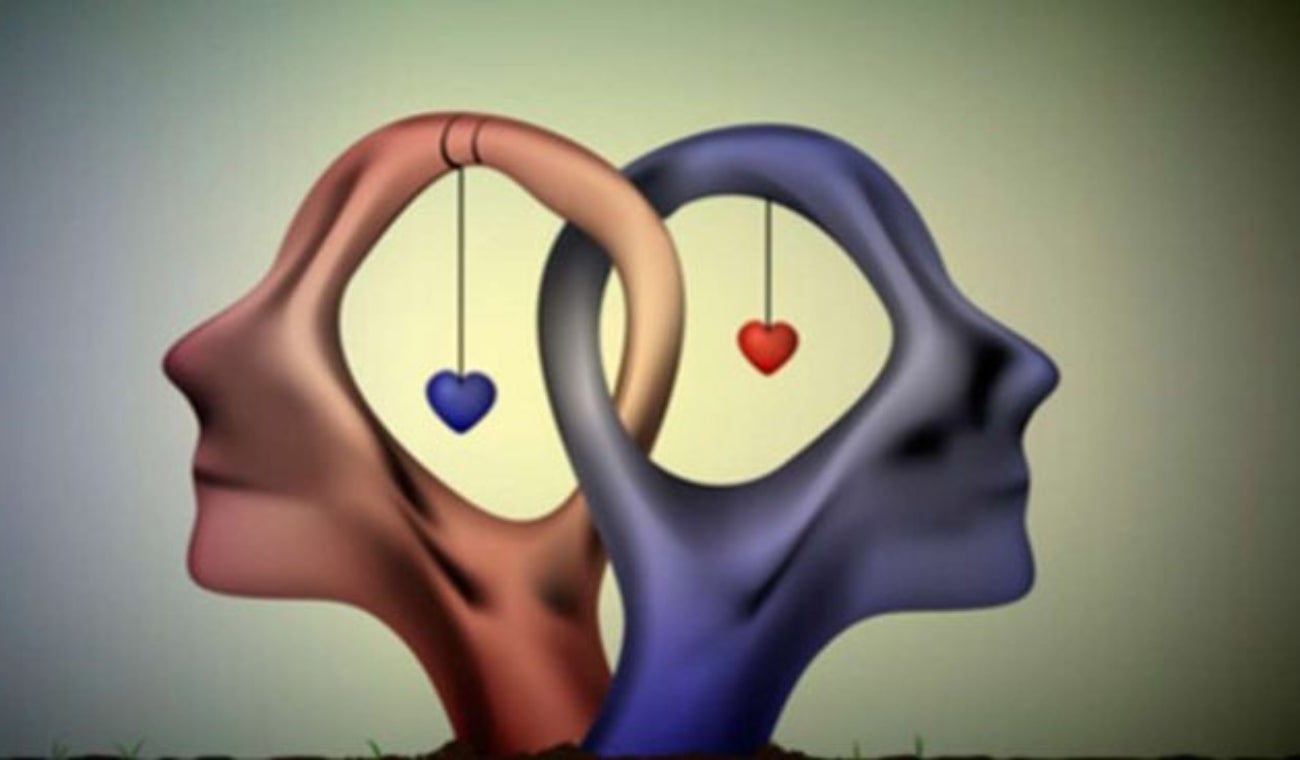 Sapiosexual