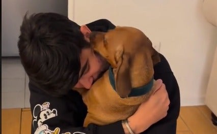 Perrito reacciona a la llegada de su dueño