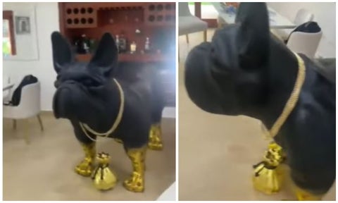 Narco colombiano le hizo estatua de oro a su perro