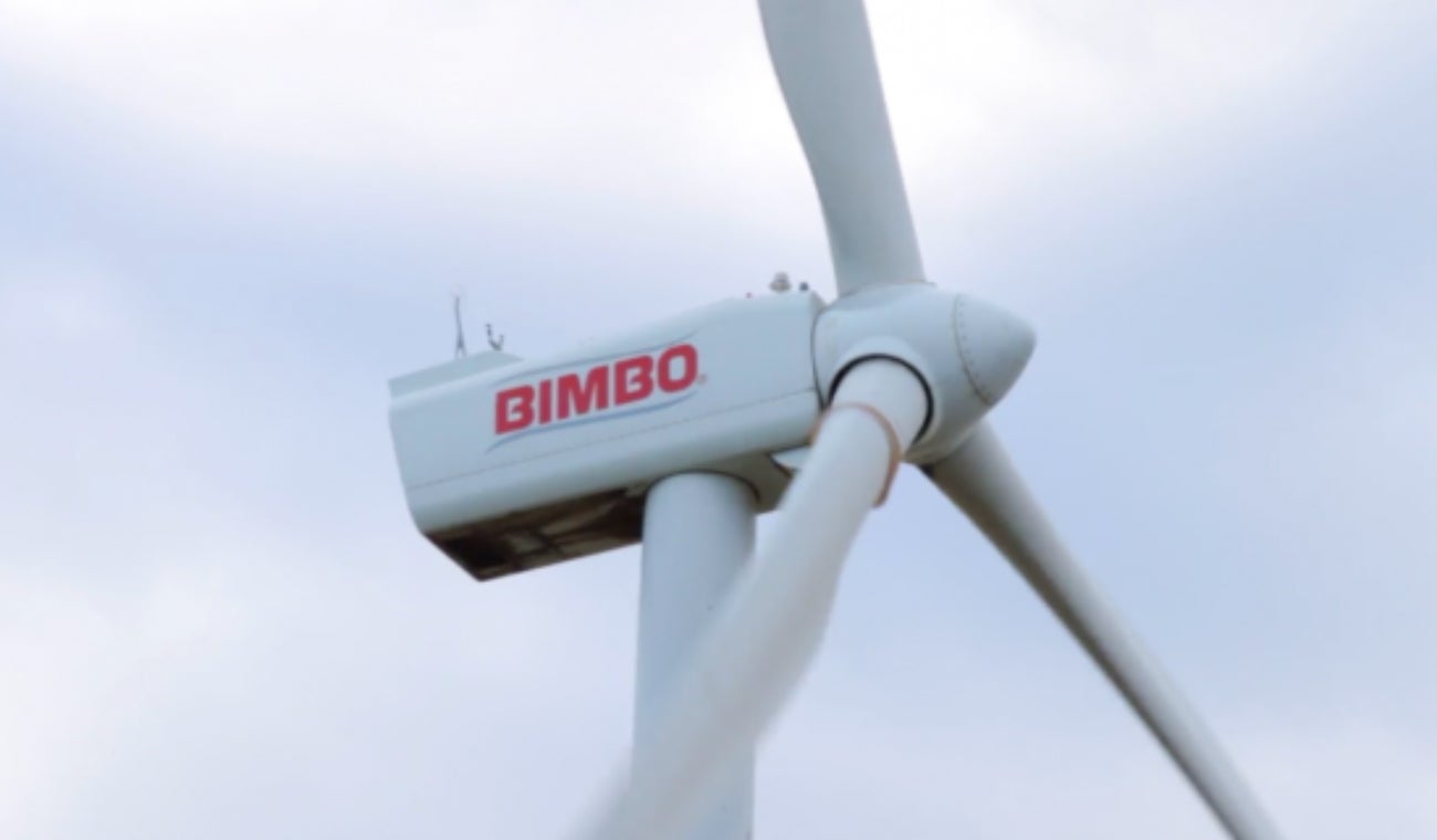 Bimbo