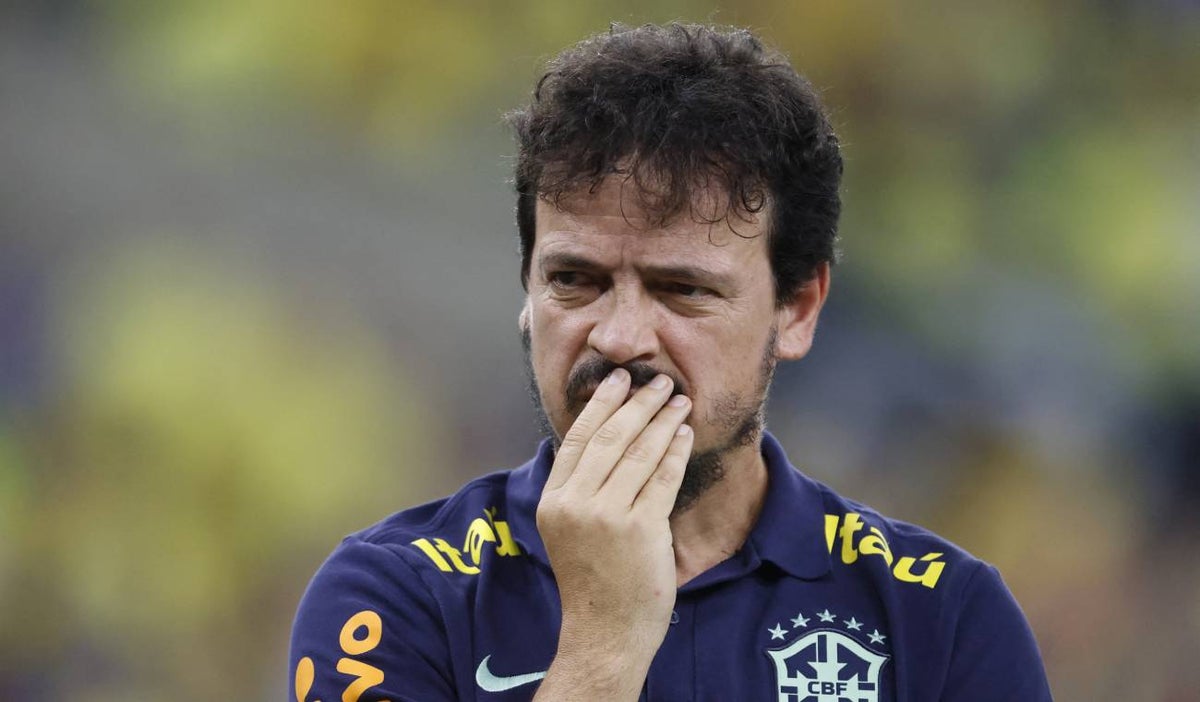 Fernando Diniz, DT de Brasil