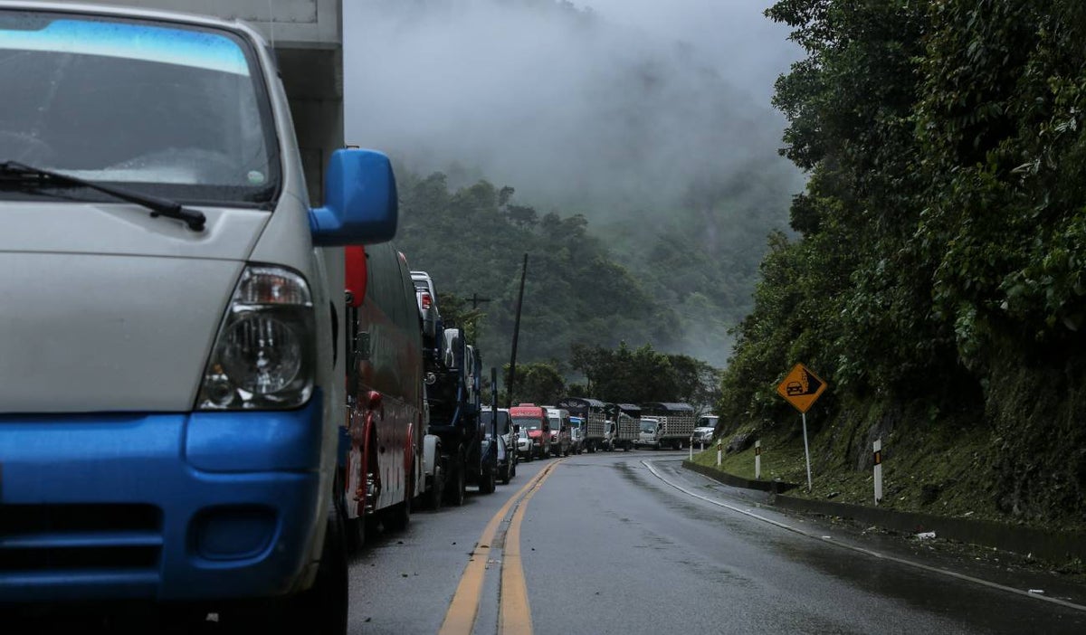 Transportadores