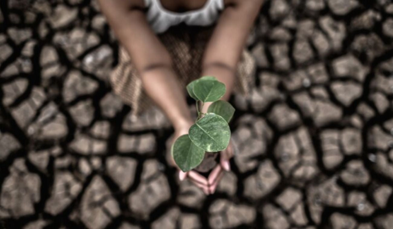 Cambio climático y futuro sostenible en Colombia