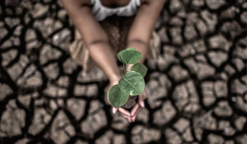 Cambio climático y futuro sostenible en Colombia