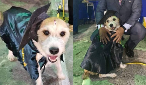 Colegio graduó a Mona