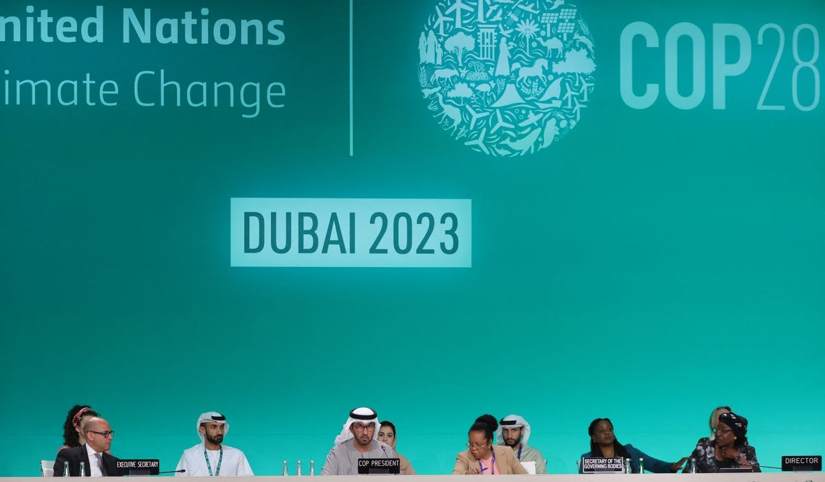 COP28