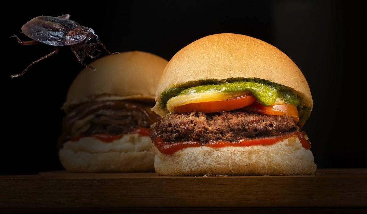 Hamburguesa con cucaracha