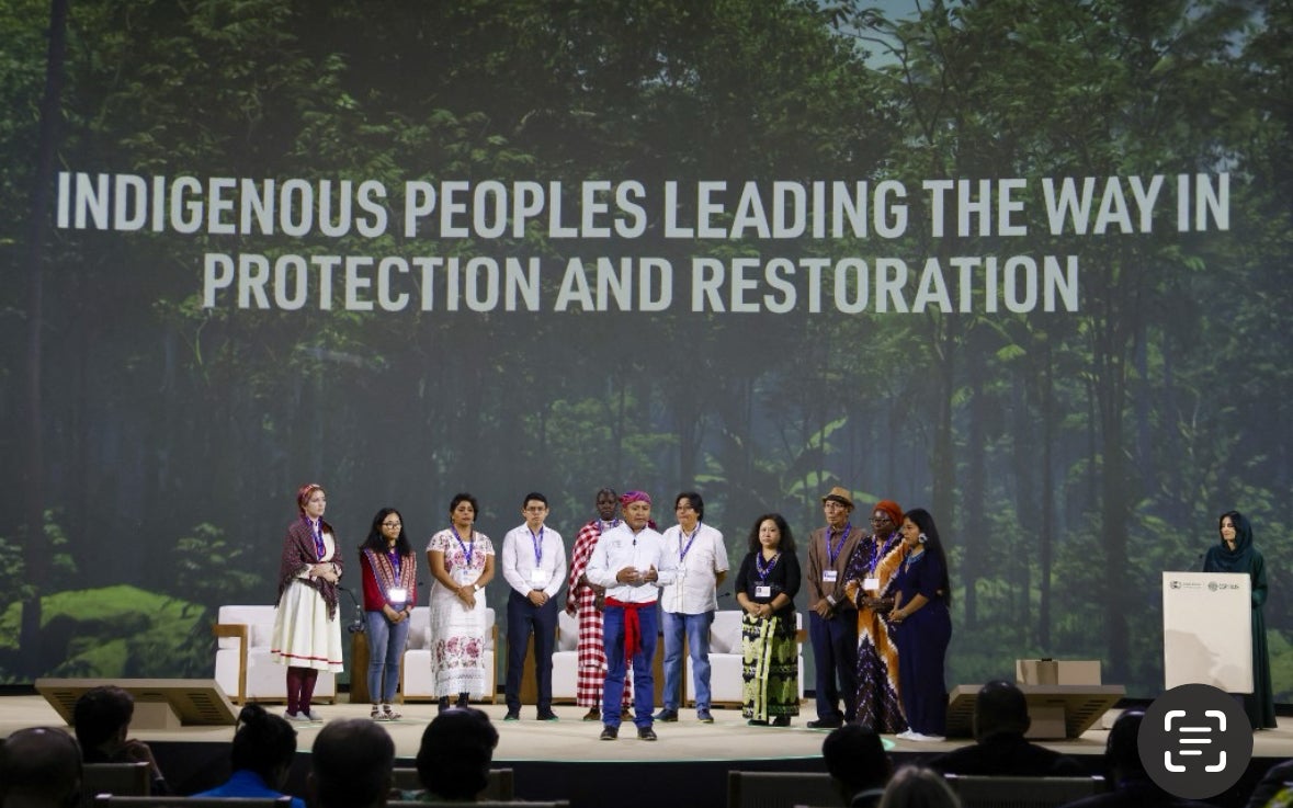 Cop 28 en Dubai