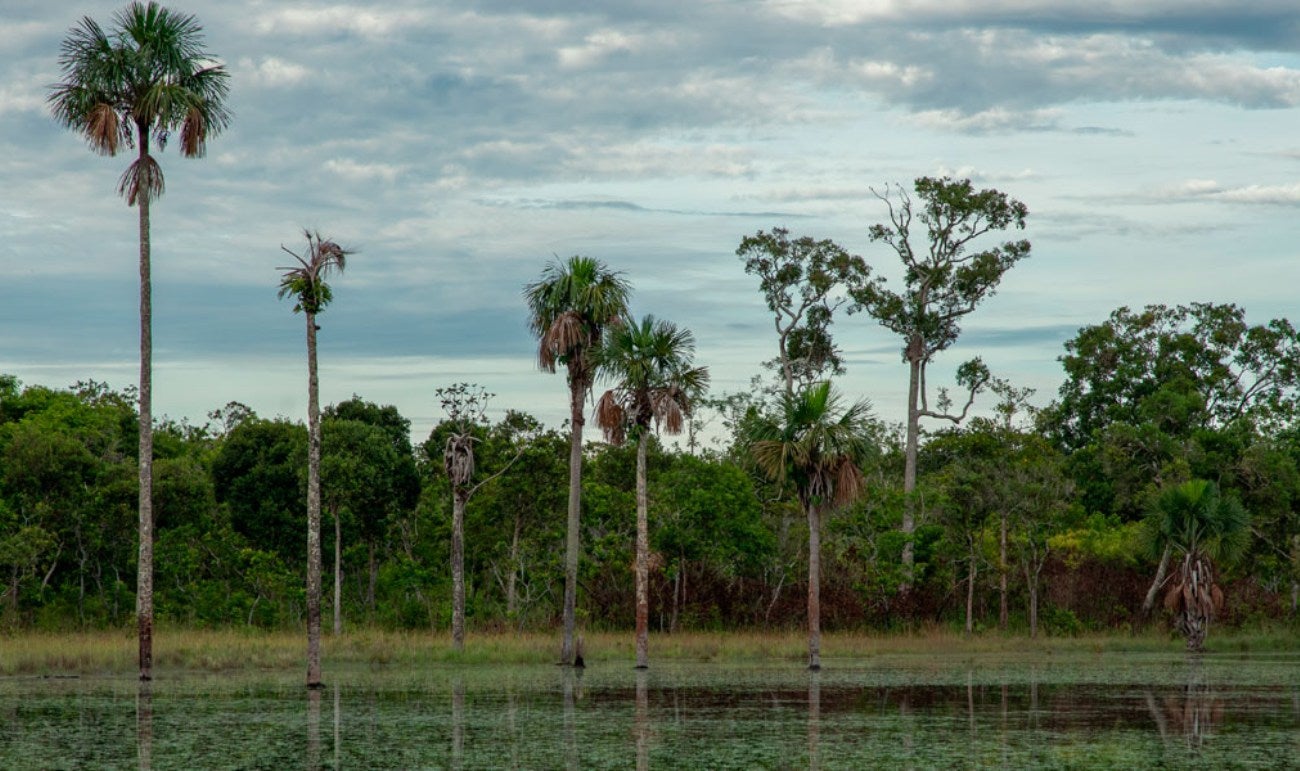 Serranía de Manacacías