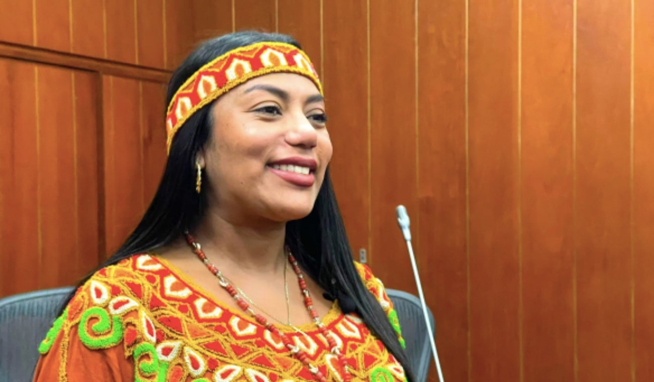 Martha Peralta, presidenta de la Comisión Séptima de Senado
