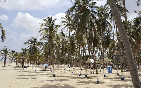 Playa Palomino