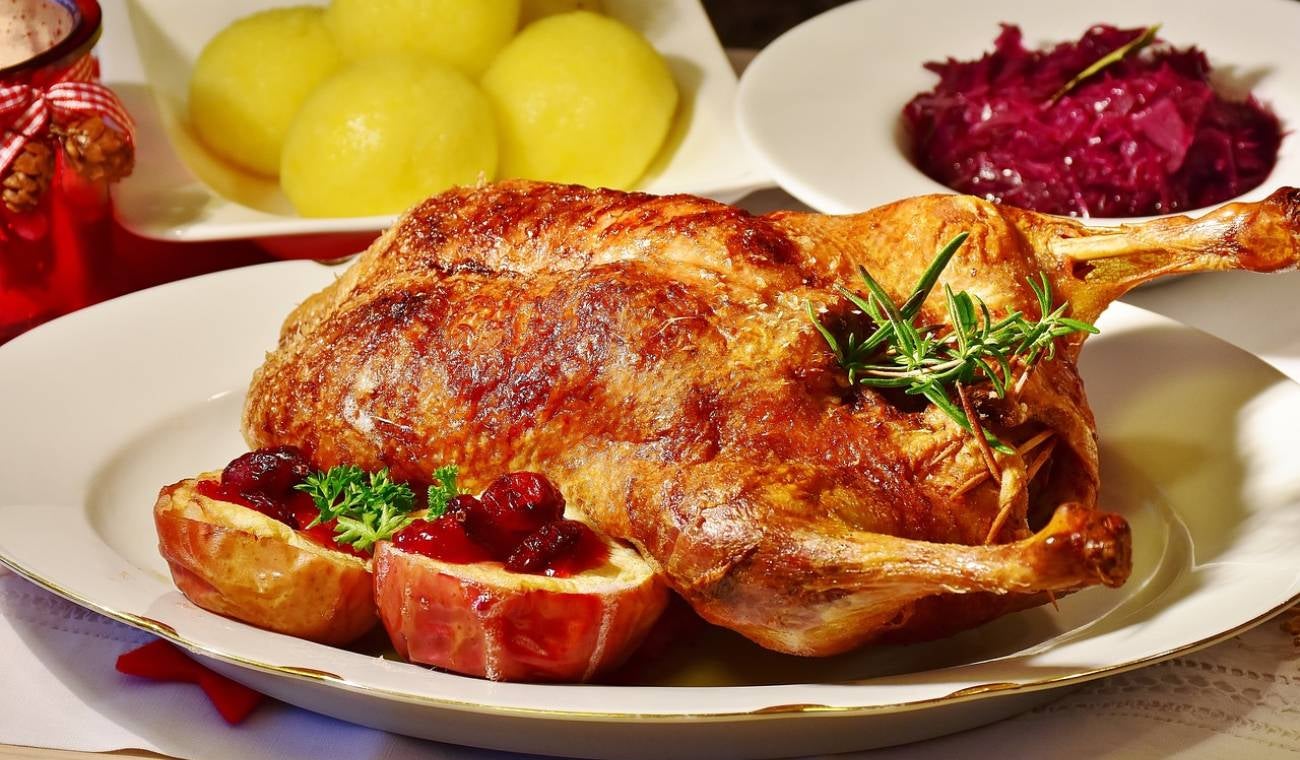 Pollo