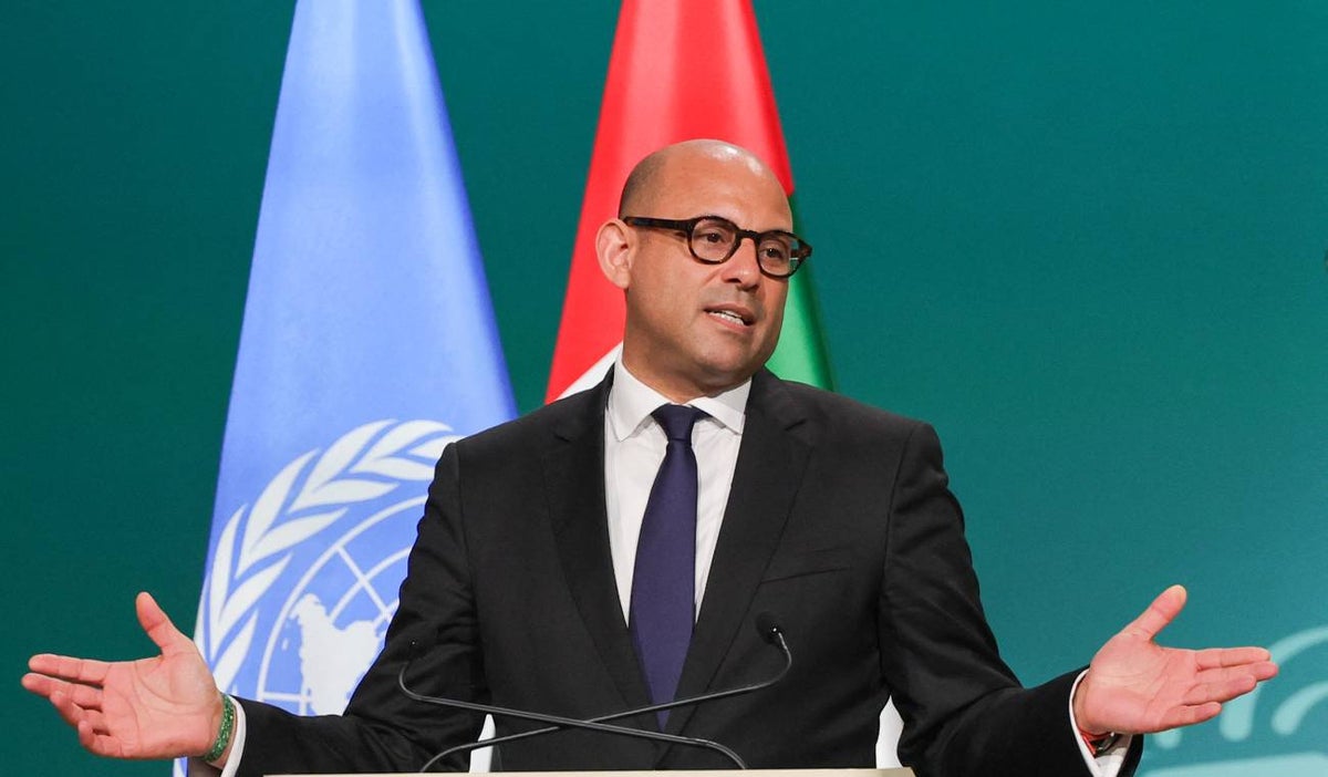 El jefe de la agencia ONU Clima, Simon Stiel
