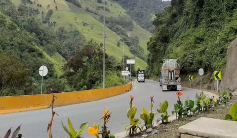 Vía Alto de La Línea