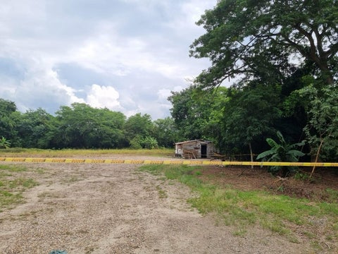 Masacre en La Dorada. Asesinaron a tres hombres y los abandonaron en una zona boscosa.