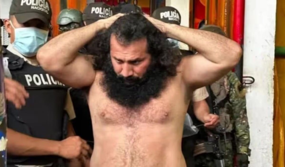 Alias fito