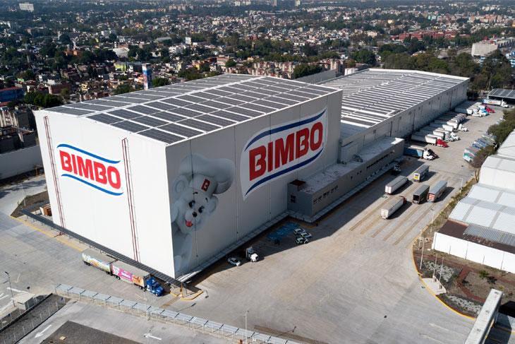 Bimbo