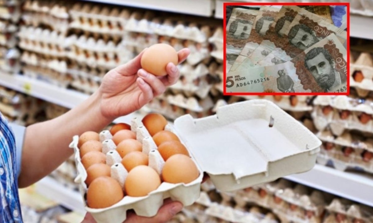 Precio cubeta de huevos