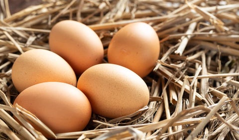 Huevos