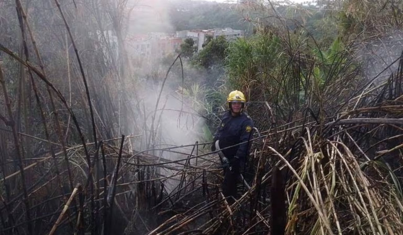 Incendio de capa vegetal en Risaralda