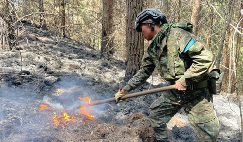 Incendio forestal en Colombia