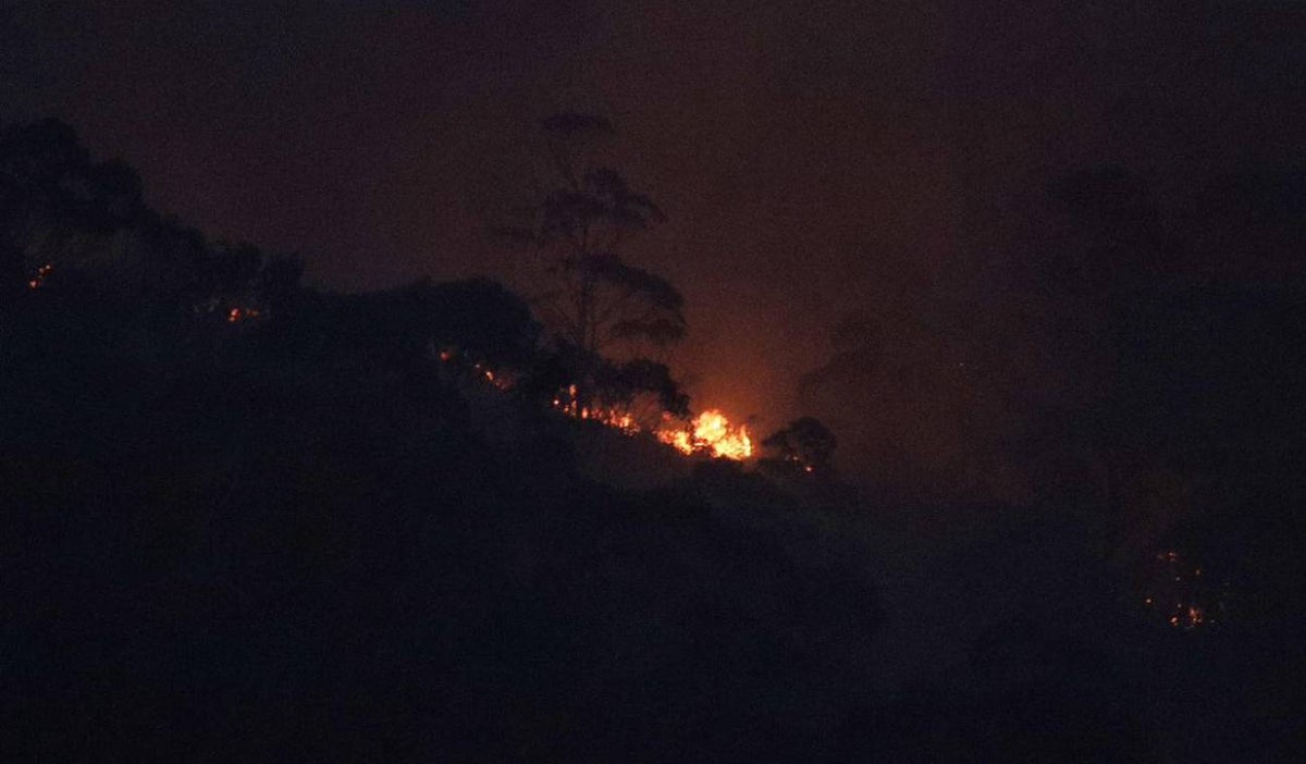 Incendio forestal