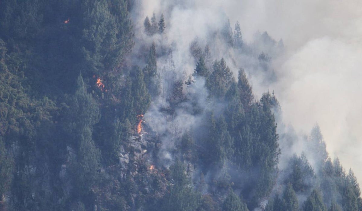 Incendio forestal