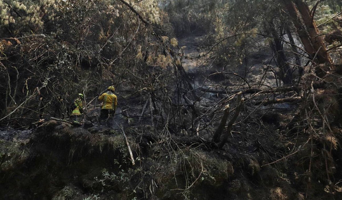 Incendios en Colombia