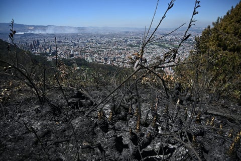 Incendios forestales en Colombia