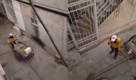 Vendedor de plátanos sorprende a vecinos cantando