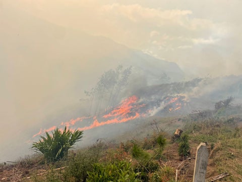 El fenómeno de El Niño ha provocado 114 incendios forestales en Antioquia este año