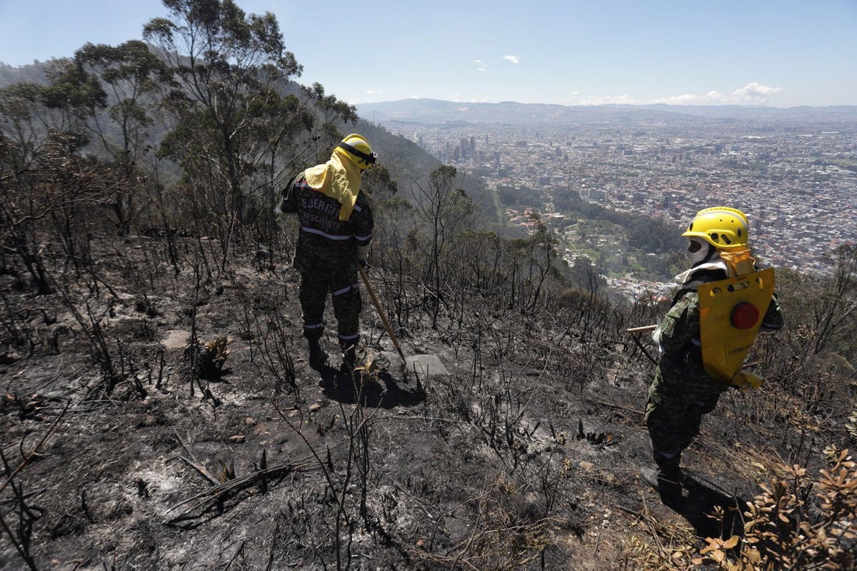 Incendios forestales