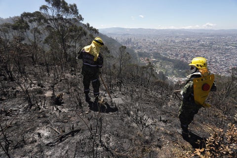 Incendios forestales