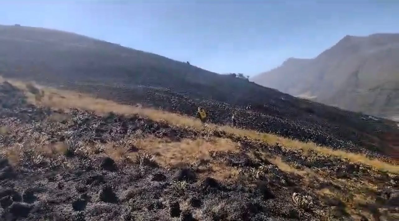 Páramo de Almorzadero después de incendio forestal.