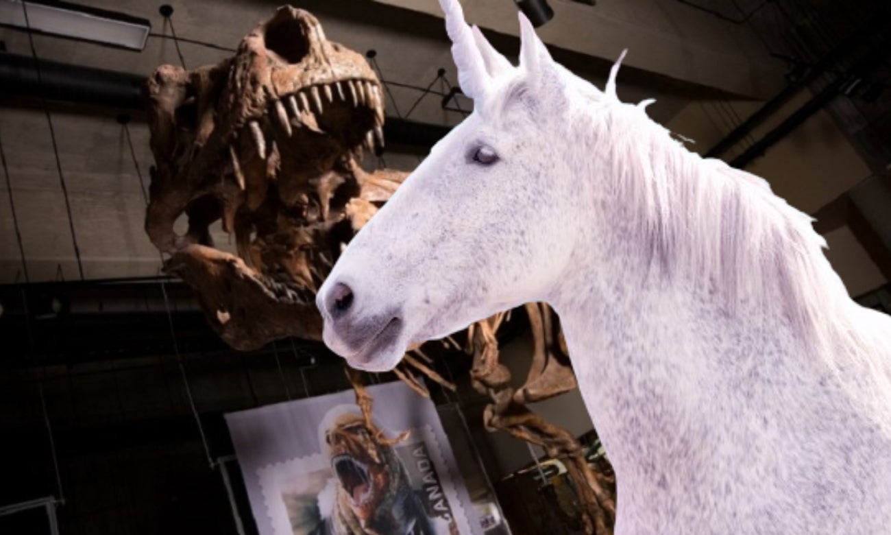 Descubren fósil que prueba que los unicornios sí existieron