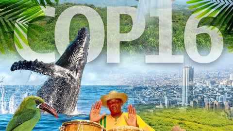 Cop16