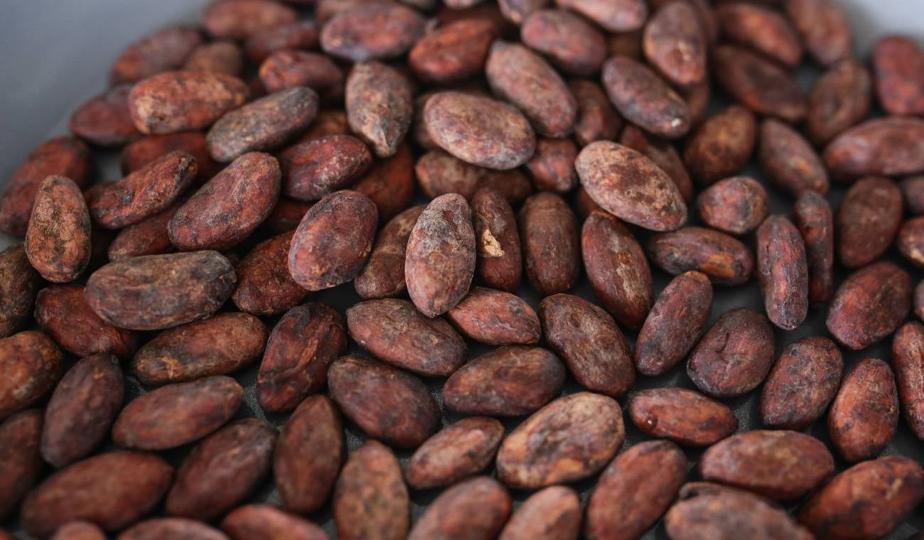Cacao