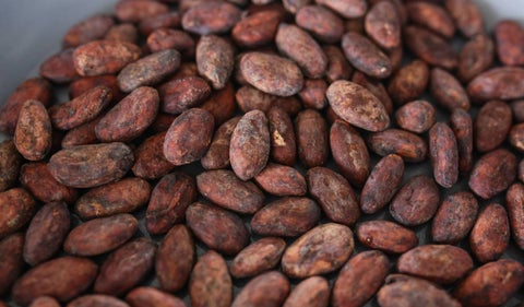 Cacao