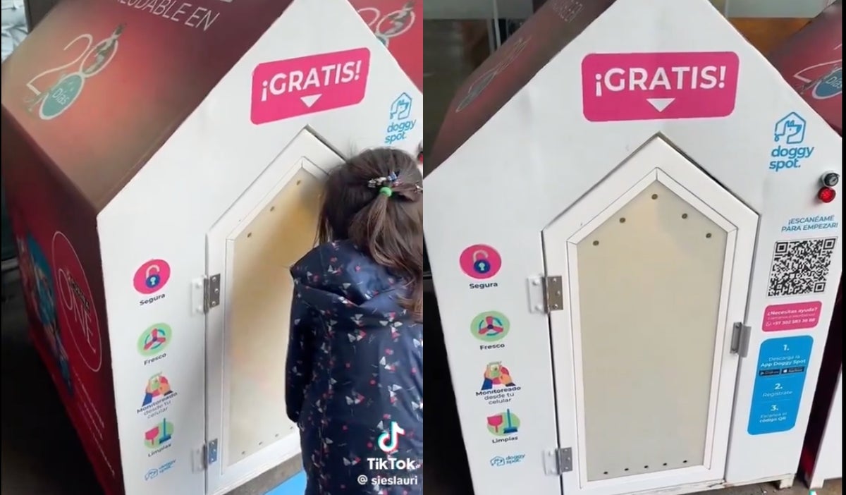 Polémica por emprendimiento de cuidado de perros
