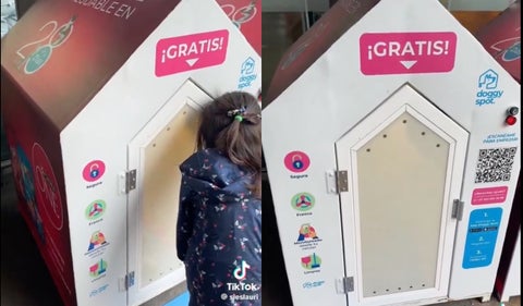 Polémica por emprendimiento de cuidado de perros